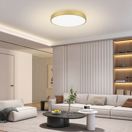 Brilagi - LED stropna svetilka POOL LED/100W/230V 3000/4500/6000K premer 80 cm zlata