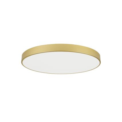 Brilagi - LED stropna svetilka POOL LED/100W/230V 3000/4500/6000K premer 80 cm zlata