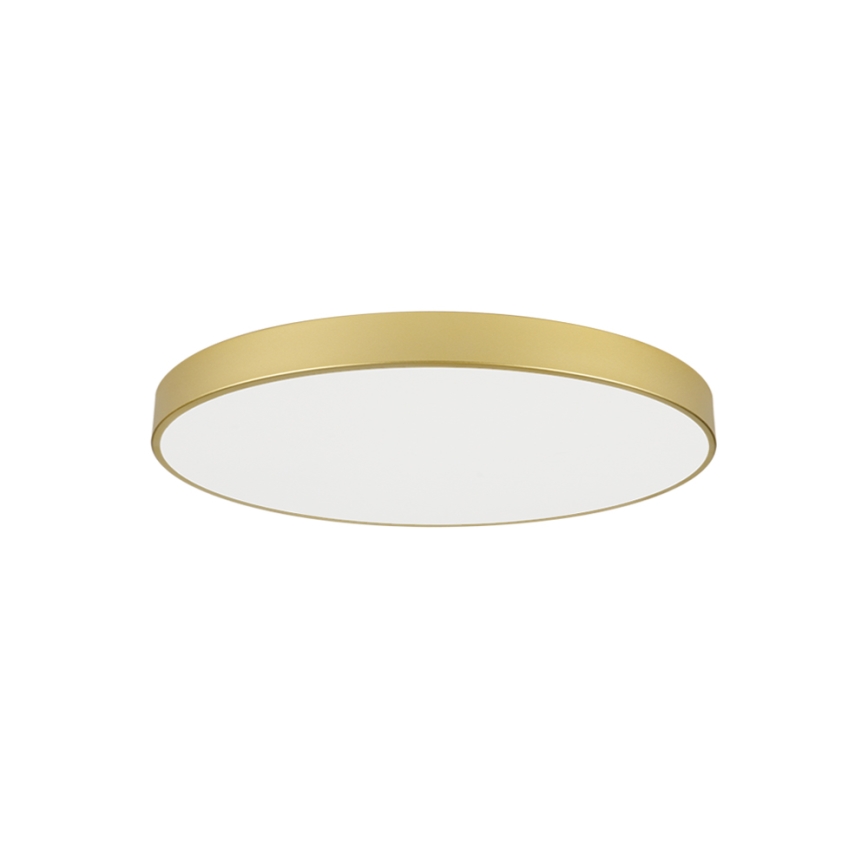 Brilagi - LED stropna svetilka POOL LED/100W/230V 3000/4500/6000K premer 80 cm zlata