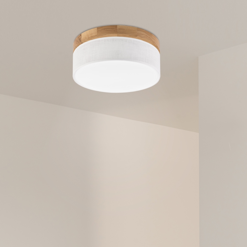 Brilagi - LED Stropna luč BELLADONNA LED/20W/230V Ø 30 cm bela/hran