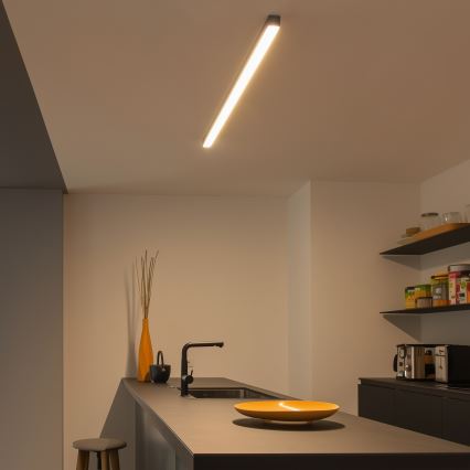 Brilagi - LED stropno nadometno svetilo FULLDAY LED/30/40/50W/230V 2700/4000/6000K 150 cm črna