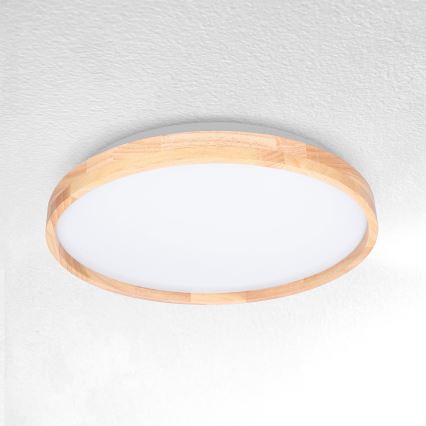 Brilagi - LED Stropna svetilka ALSON LED/24W/230V hrast