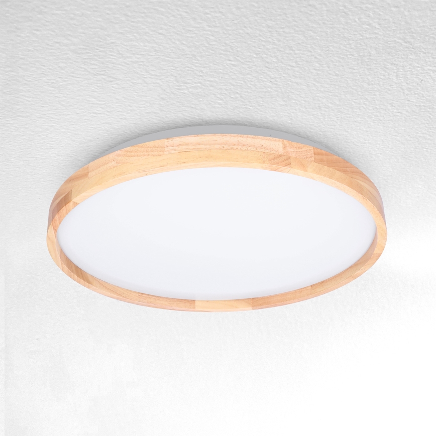 Brilagi - LED Stropna svetilka ALSON LED/24W/230V hrast