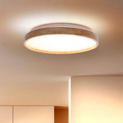 Brilagi - LED Stropna svetilka ALSON LED/24W/230V hrast
