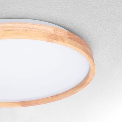 Brilagi - LED Stropna svetilka ALSON LED/24W/230V hrast