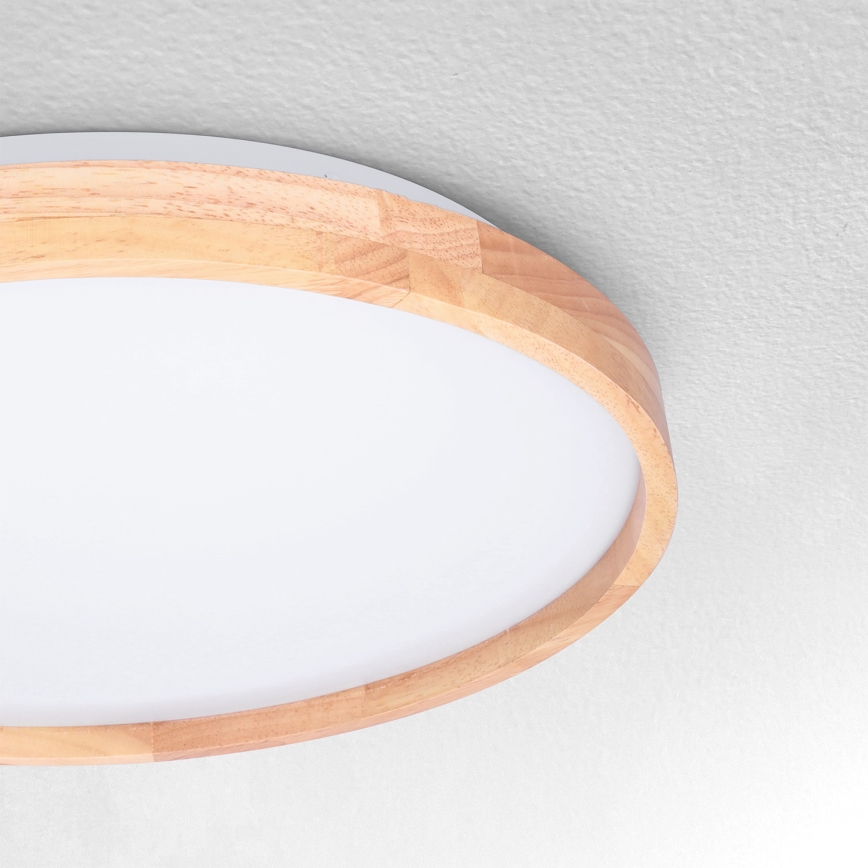 Brilagi - LED Stropna svetilka ALSON LED/24W/230V hrast