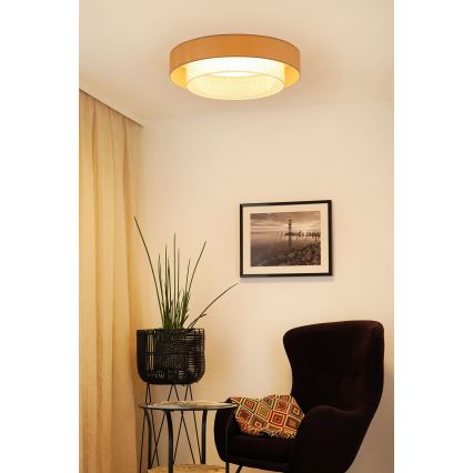 Brilagi - LED Stropna svetilka ARIZONA BOHO LED/26W/230V pr. 60 cm bež