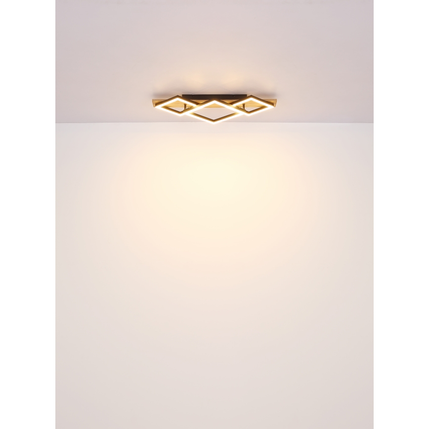 Brilagi - LED stropna svetilka AXIS I LED/24W/230V