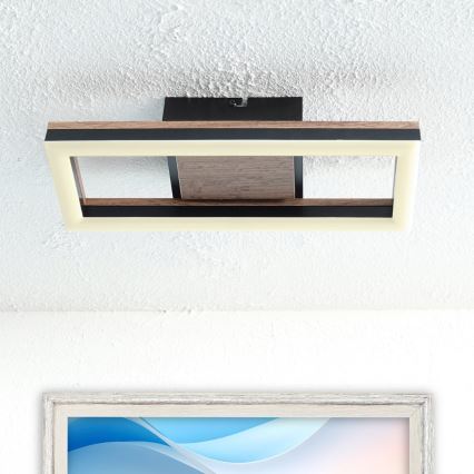 Brilagi - LED stropna svetilka AXIS LED/12W/230V