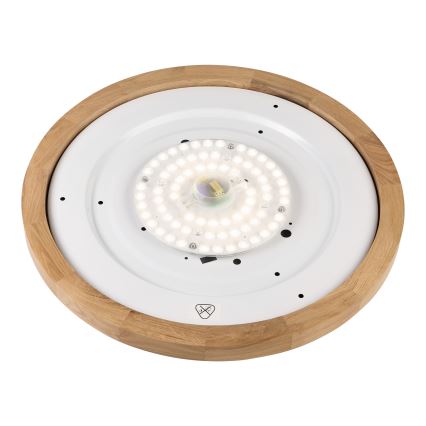 Brilagi - LED Stropna svetilka BELLADONNA LED/36W/230V premer 50 cm bela/jesen