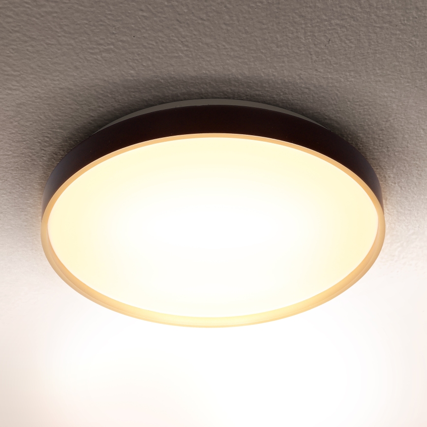Brilagi - LED Stropna svetilka CALA LED/24W/230V