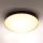 Brilagi - LED Stropna svetilka CALA LED/24W/230V