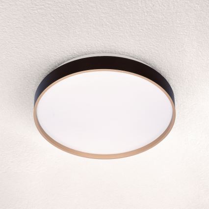Brilagi - LED Stropna svetilka CALA LED/24W/230V