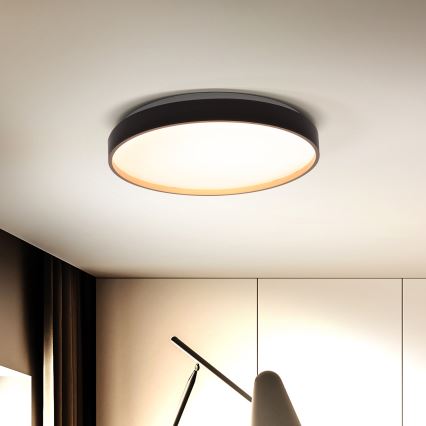 Brilagi - LED Stropna svetilka CALA LED/24W/230V