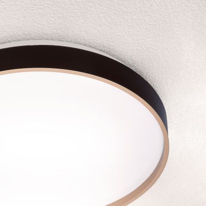 Brilagi - LED Stropna svetilka CALA LED/24W/230V