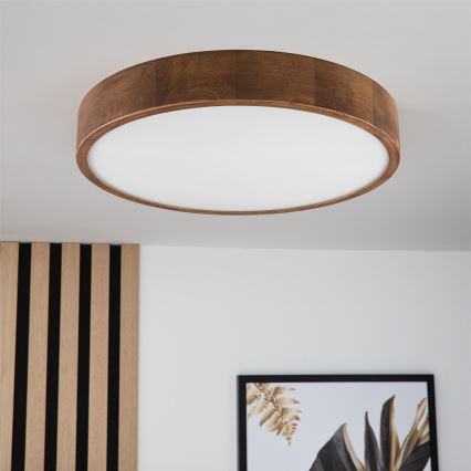 Brilagi - LED Stropna svetilka CARVALHO 3xE27/60W/230V hrast češnja pr. 47 cm