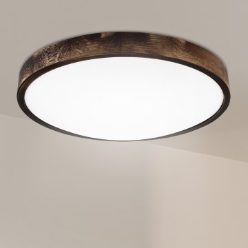 Brilagi - LED stropna svetilka CARVALHO SLIM SMOKEY LED/36W/230V hrast, premer 47,5 cm