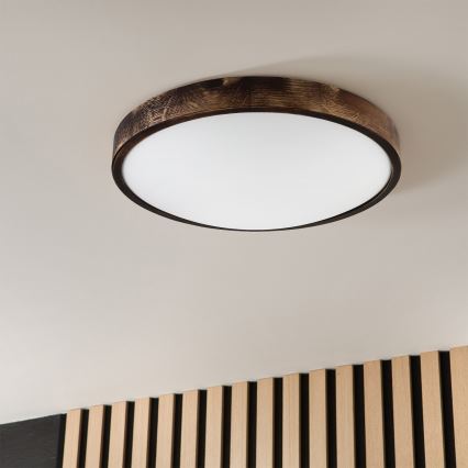 Brilagi - LED stropna svetilka CARVALHO SLIM SMOKEY LED/36W/230V hrast, premer 47,5 cm