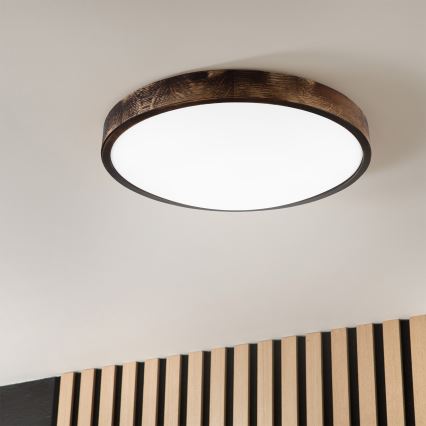 Brilagi - LED stropna svetilka CARVALHO SLIM SMOKEY LED/36W/230V hrast, premer 47,5 cm