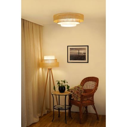 Brilagi - LED Stropna svetilka CEDAR LUNETA LED/26W/230V bež/rjava/krem barva