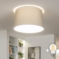 Brilagi - LED stropna svetilka CERIA, 1x E27/40W/230V, Ø 45 cm, siva