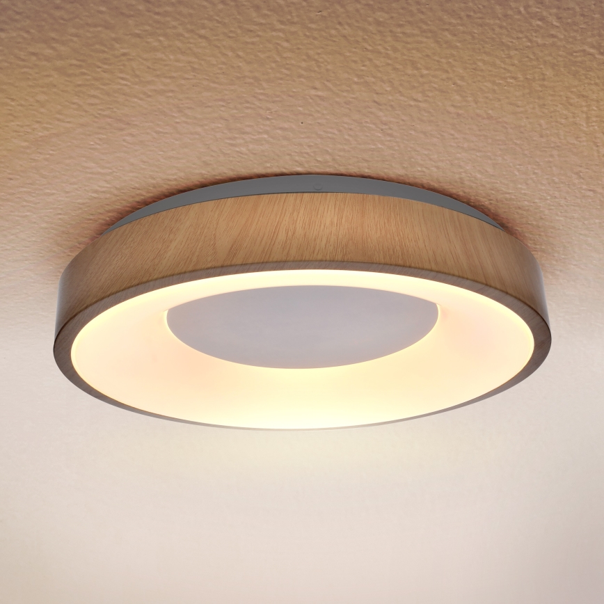 Brilagi - LED Stropna svetilka DORIA LED/24W/230V