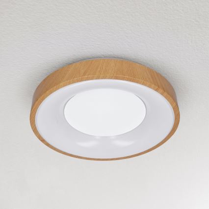Brilagi - LED Stropna svetilka DORIA LED/24W/230V
