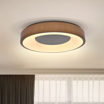 Brilagi - LED Stropna svetilka DORIA LED/24W/230V