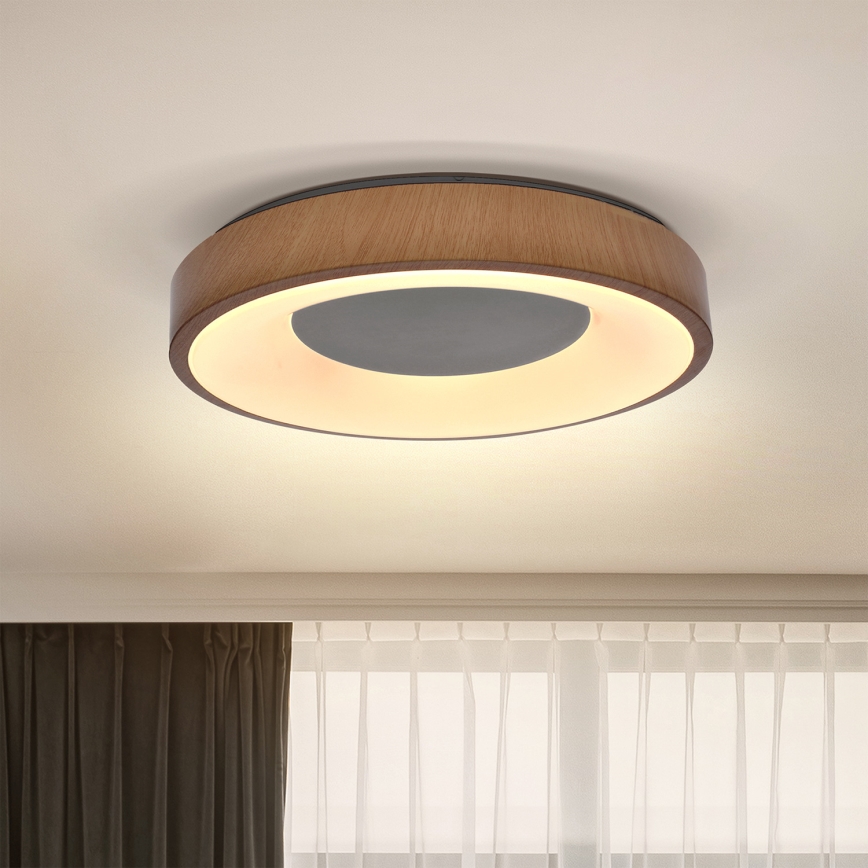 Brilagi - LED Stropna svetilka DORIA LED/24W/230V
