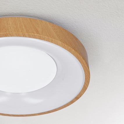 Brilagi - LED Stropna svetilka DORIA LED/24W/230V