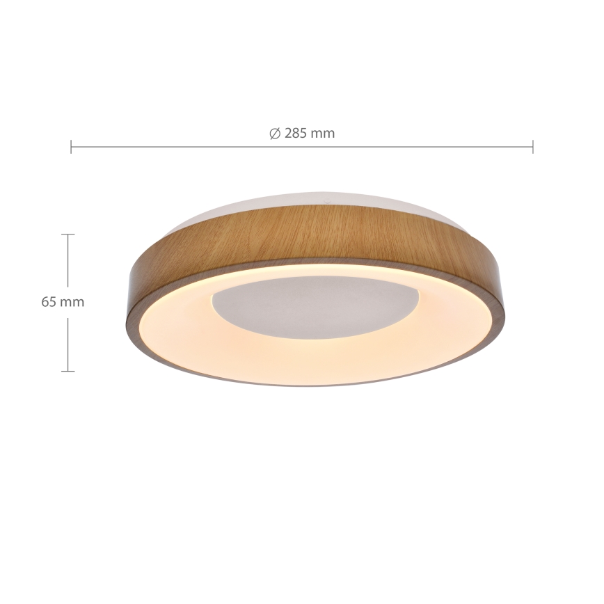 Brilagi - LED Stropna svetilka DORIA LED/24W/230V