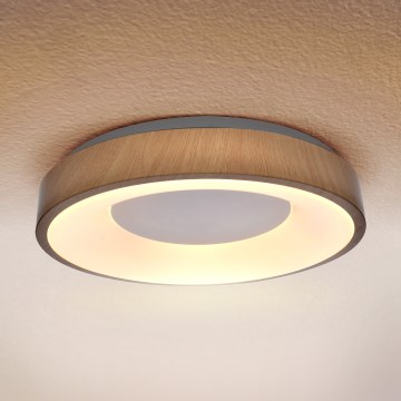 Brilagi - LED stropna svetilka DORIA LED/24W/230V premer 28,5 cm
