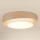 Brilagi - LED Stropna svetilka DOVER SHINE LED/26W/230V pr. 60 cm siva/krem barva