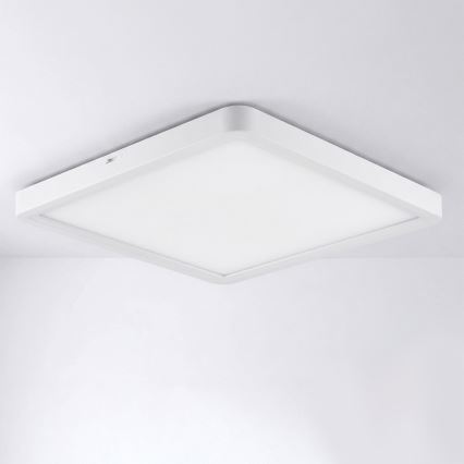 Brilagi - LED stropna svetilka ESTELA SQUARE LED/24W/230V 31x31 cm bela