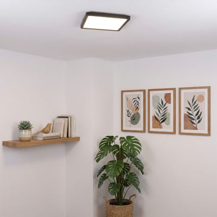Brilagi - LED stropna svetilka ESTELA SQUARE LED/24W/230V 31x31 cm črna