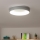 Brilagi - LED stropna svetilka FALCON LED/40W/230V 3000-6500K premer 45 cm siva s funkcijo zatemnitve + daljinski upravljalnik
