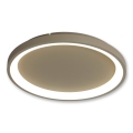 BRILAGI - LED stropna svetilka FALCON SLIM LED/42W/230V 3000-6500K premer 50 cm bež + daljinski upravljalnik (z možnostjo zatemnitve)