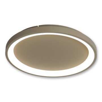 BRILAGI - LED stropna svetilka FALCON SLIM LED/42W/230V 3000-6500K premer 50 cm bež + daljinski upravljalnik (z možnostjo zatemnitve)