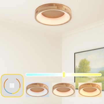 Brilagi - LED stropna svetilka FALCON WOOD LED/30W/230V 3000/4000/6000K premer 45 cm les