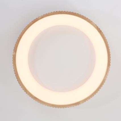 Brilagi - LED stropna svetilka FALCON WOOD MODERN, LED 40 W, 230 V, 3000/4000/6000 K, premer 60 cm, lesena