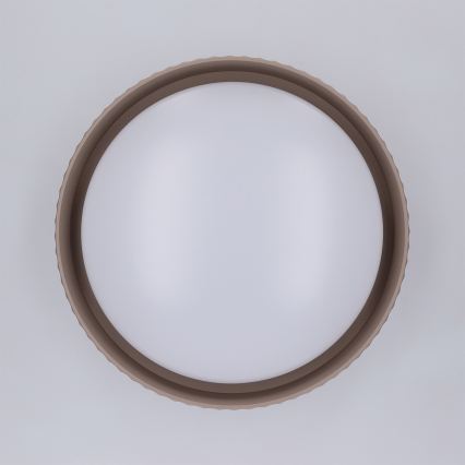 Brilagi - LED stropna svetilka LUCIA LED/24W/230V, premer 31 cm, rjava