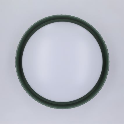 Brilagi - LED stropna svetilka LUCIA LED/24W/230V Ø 31 cm zelena