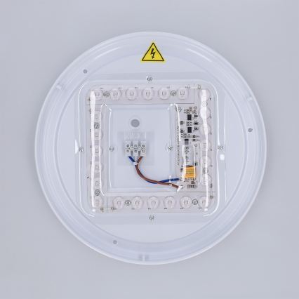 Brilagi - LED stropna svetilka LUCIA LED/24W/230V Ø 31 cm zelena