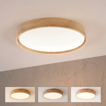 Brilagi - LED stropna svetilka MANAROLA REMOTE z možnostjo zatemnitve LED/36W/230V 3000-6500K premer 51 cm hrast + daljinski upravljalnik