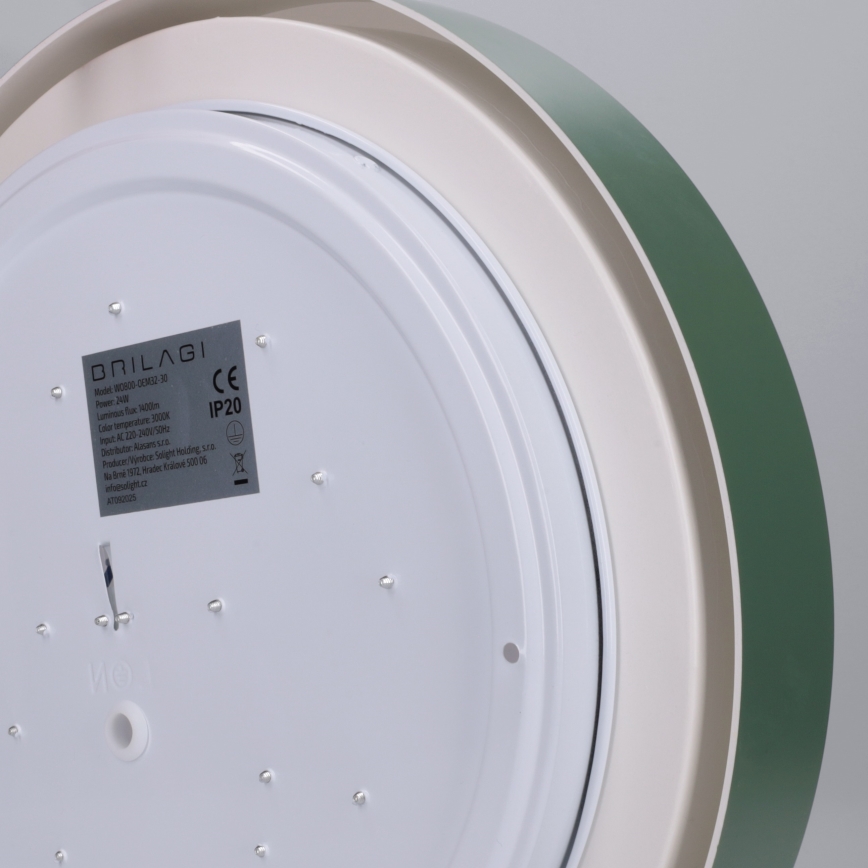 Brilagi - LED stropna svetilka MATTEO LED/24W/230V, premer 31 cm, zelena