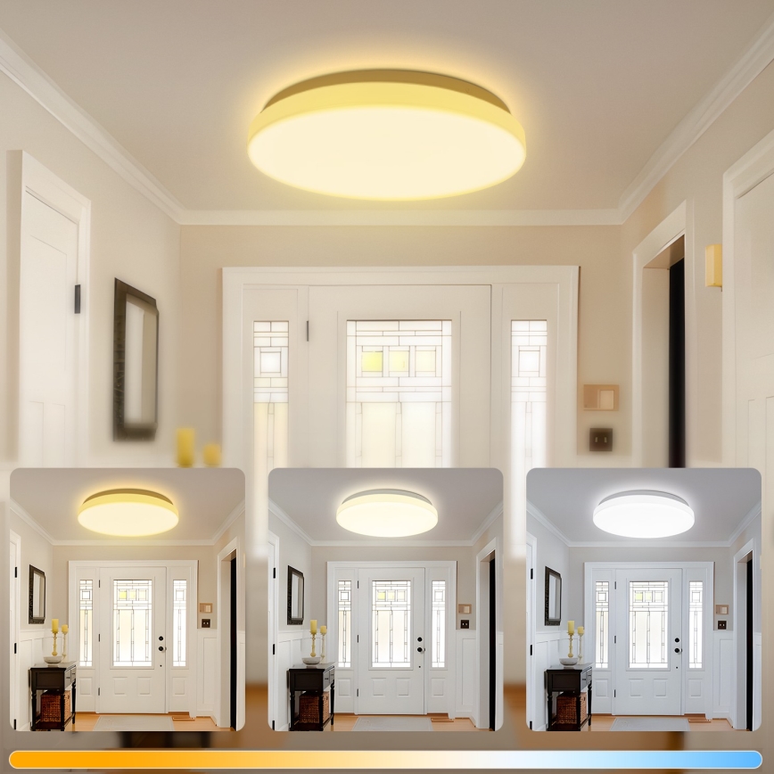 Brilagi - LED stropna svetilka MILKY WAY LED/24W/230V 3000/4000/6500K premer 38 cm