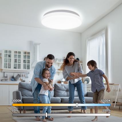 Brilagi - LED stropna svetilka MILKY WAY LED/24W/230V 3000/4000/6500K premer 38 cm