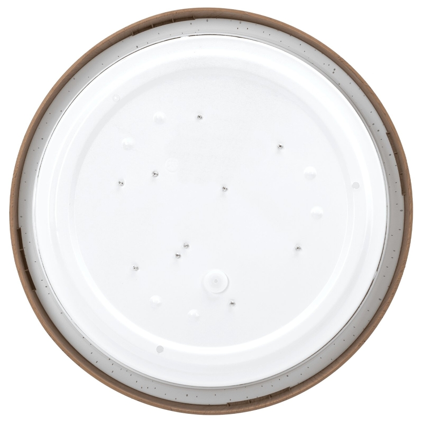 Brilagi - LED stropna svetilka NATURA LED/12W/230V 3000K premer 26,3 cm