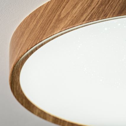 BRILAGI - LED stropna svetilka NATURA LED/12W/230V 4000K Ø 26,3 cm