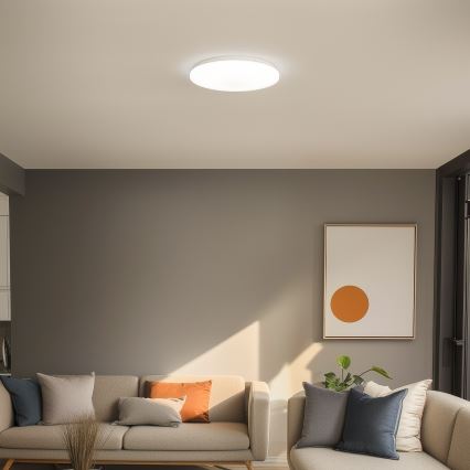 Brilagi - LED stropna svetilka OPAL LED/24W/230V